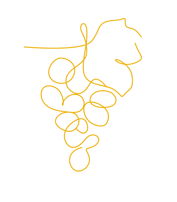 illustrations raccard (7)